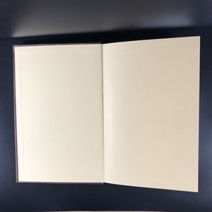 Русские монеты до 1547 года. А.В. Орешников. Москва, 2006 г. (репринт издания 1896 г.) 000379 - фото 10529