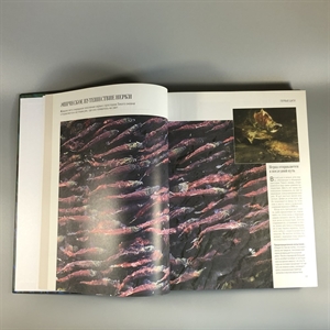 Секреты природы. Ридерз Дайджест, 1999-й г. 001386 - фото 10685