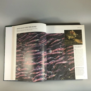 Секреты природы. Ридерз Дайджест, 1999-й г. 001386