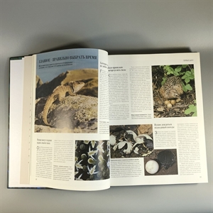 Секреты природы. Ридерз Дайджест, 1999-й г. 001386 - фото 10686