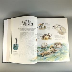 Секреты природы. Ридерз Дайджест, 1999-й г. 001386 - фото 10687