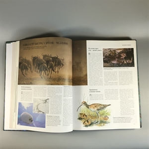 Секреты природы. Ридерз Дайджест, 1999-й г. 001386 - фото 10689