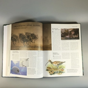 Секреты природы. Ридерз Дайджест, 1999-й г. 001386