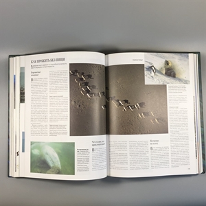 Секреты природы. Ридерз Дайджест, 1999-й г. 001386 - фото 10691