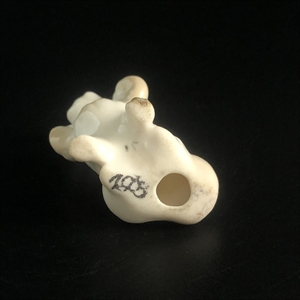 Статуэтка «Болонка», ЛФЗ, фарфор, СССР, 1970-е гг. 001741 - фото 11926