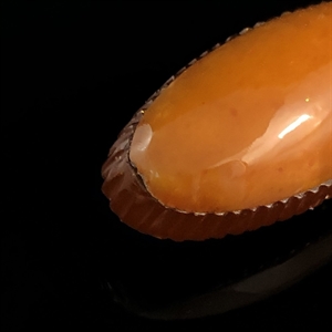 Брошь из прессованного янтаря, СССР, 1970-1980-е гг. 001691 - фото 1410