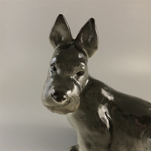 Статуэтка «Скотчтерьер», фарфор, ЛФЗ, СССР, 1960-е гг. 001945 - фото 22073