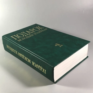 Елена Молоховец. Подарок молодым хозяйкам. Москва, 2004 г. 002048