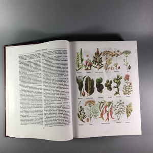 Кулинария. Москва, 1997 г. (репринт издания 1955 г.) 002051 - фото 24201