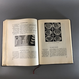 Домашнее приготовление тортов, пирожных, печенья, пряников, пирогов, Пищепромиздат, Москва, 1959-й г. 001645 - фото 2636