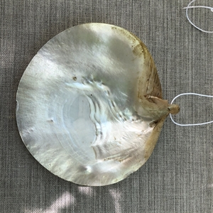 Икона на раковине (перламутр), «Тайная вечеря», Палестина, XIX век 000027 - фото 4626