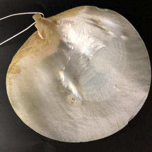 Икона на раковине (перламутр), «Тайная вечеря», Палестина, XIX век 000027 - фото 4642