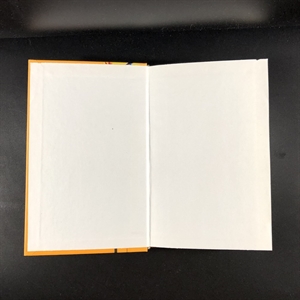 Беглецы и бродяги. Чак Паланик. Москва, 2006 г. 000338 - фото 607