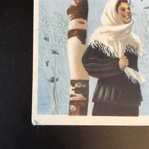 Открытка «Весна», художник П. Караченцов, ИЗОГИЗ, СССР, 1955-й год 000250 - фото 9093