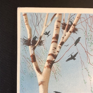 Открытка «Весна», художник П. Караченцов, ИЗОГИЗ, СССР, 1955-й год 000250 - фото 9094