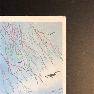 Открытка «Весна», художник П. Караченцов, ИЗОГИЗ, СССР, 1955-й год 000250 - фото 9096